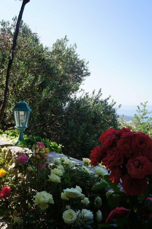 Marina - Holiday Home With Sea View Makarska Exterior photo